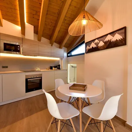 Els 4 Pics Apartment *